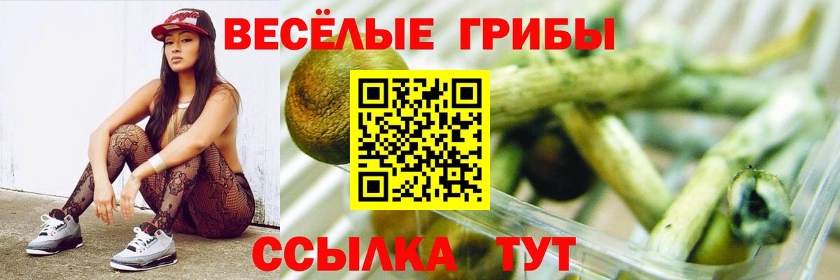 Галлюциногенные грибы мухоморы  Псилоцибиновые грибы ЛСД  Вход с VPN  Лабинск 